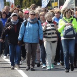 Grupa bł. ks. Michała Sopoćki 2017