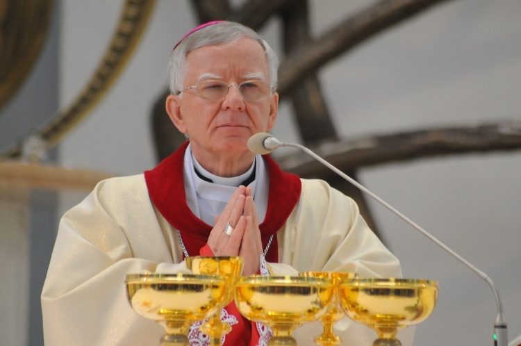 Ogólnopolska pielgrzymka Caritas do Łagiewnik 2017 cz. 2