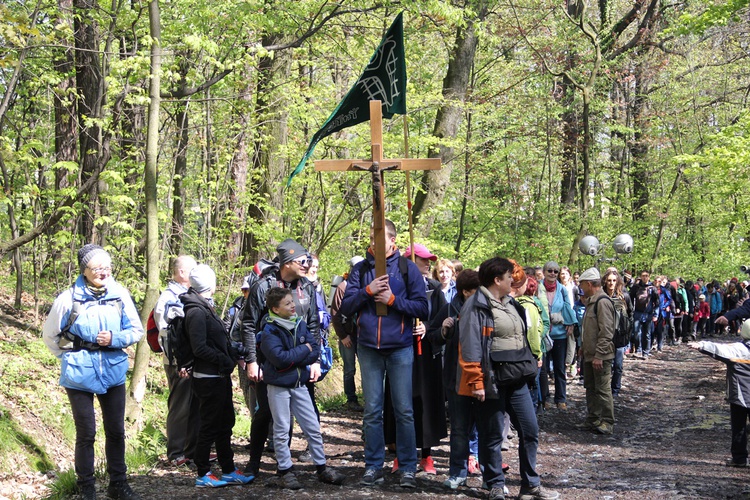 Pielgrzymka piesza na Ślężę