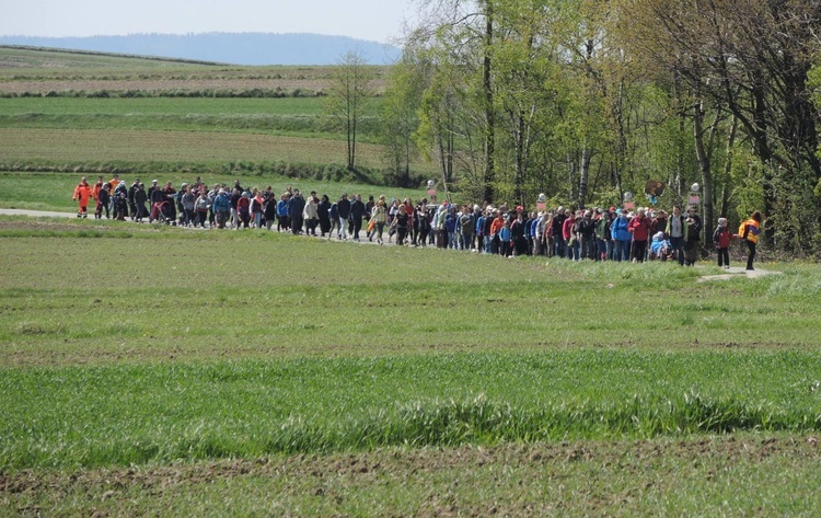 Pielgrzymi na trasie drugiego dnia - 1 maja 2017 r.