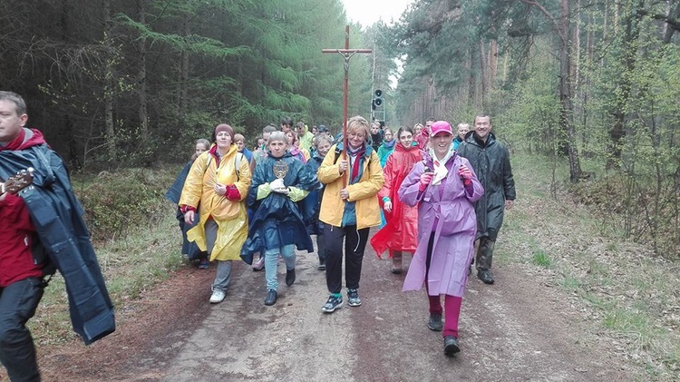 II Śląska Piesza Pielgrzymka "Z buta po miłosierdzie"