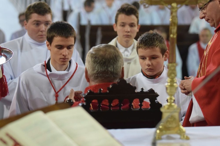 Nowi lektorzy i ceremoniarze