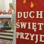 Duch Święty przynosi dary i pozwala owocować świętością życia