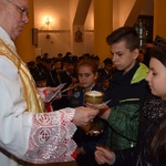 Powitanie ikony MB Częstochowskiej w Ostrowach