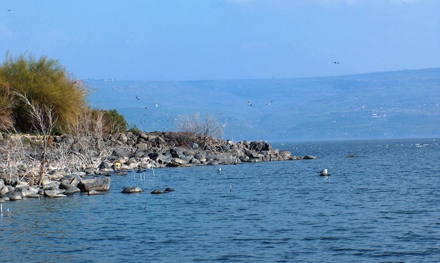 Nad brzegiem Jeziora Galilejskiego