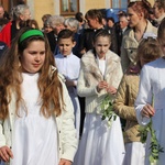 Powitanie ikony MB Częstochowskiej w Mazewie