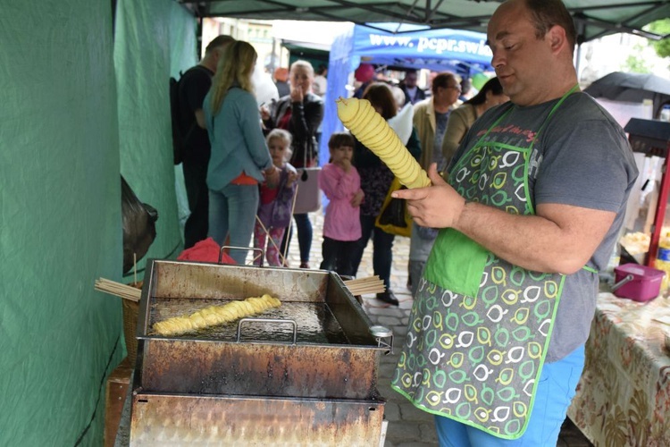 Święto Rodziny w Świdnicy