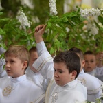 I komunii św. w Strzegomiu udzielił kardynał