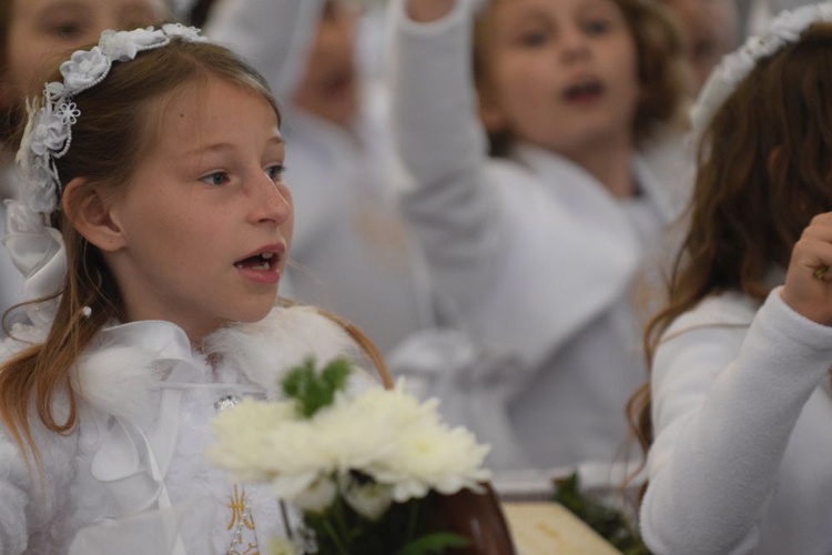 I komunii św. w Strzegomiu udzielił kardynał