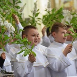 I komunii św. w Strzegomiu udzielił kardynał