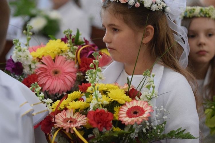 I komunii św. w Strzegomiu udzielił kardynał