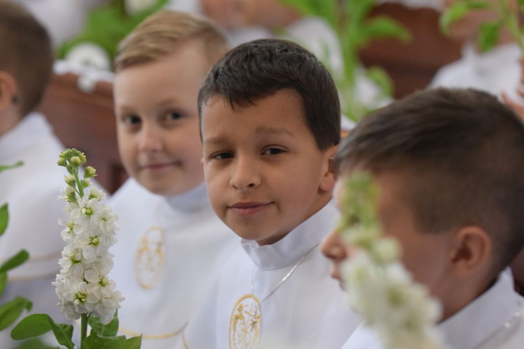 I komunii św. w Strzegomiu udzielił kardynał