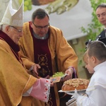 I komunii św. w Strzegomiu udzielił kardynał