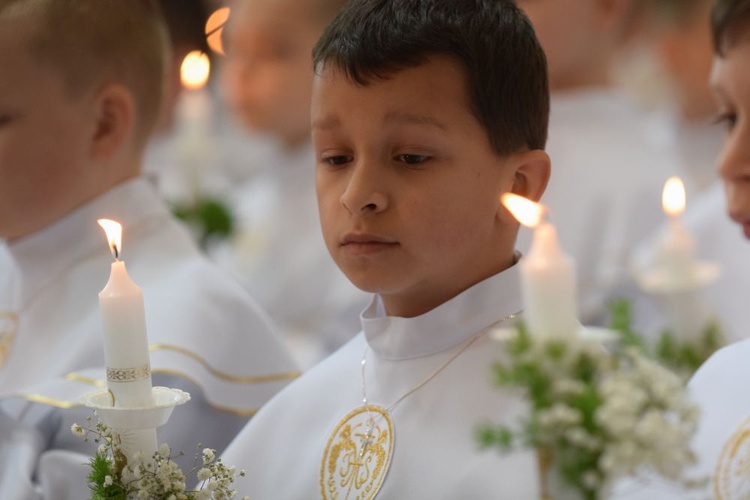 I komunii św. w Strzegomiu udzielił kardynał