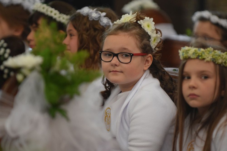 I komunii św. w Strzegomiu udzielił kardynał