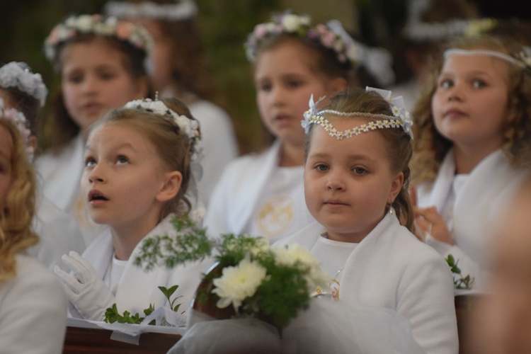 I komunii św. w Strzegomiu udzielił kardynał