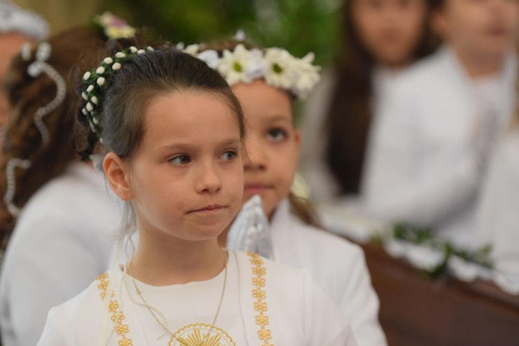 I komunii św. w Strzegomiu udzielił kardynał