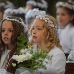 I komunii św. w Strzegomiu udzielił kardynał