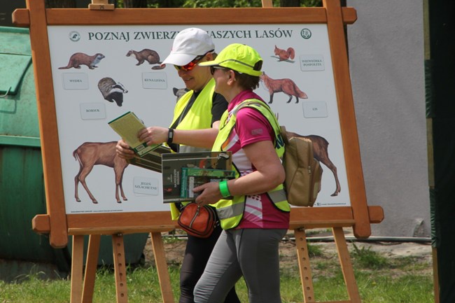 XVI Święto Polskiej Niezapominajki