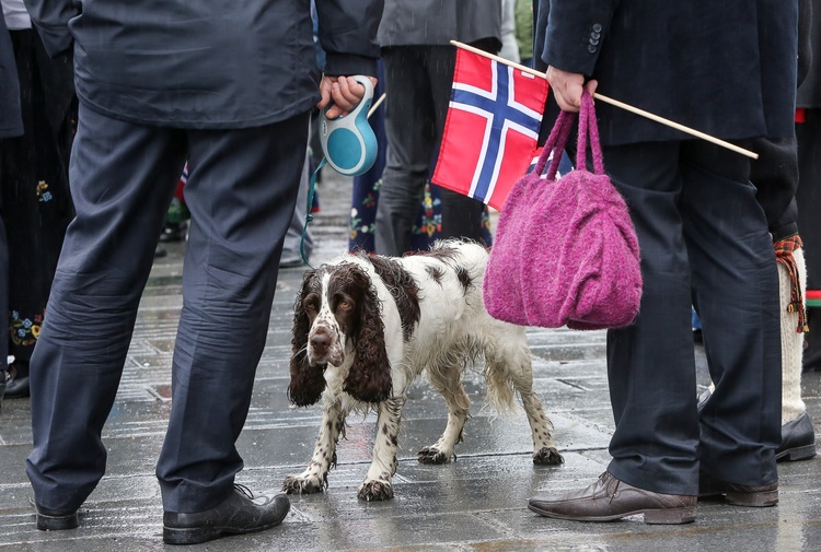 Tak się bawi Norwegia