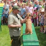 Diecezjalny Dzień Dziecka w Rokitnie