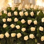 Setki białych róż zdobią cokół figury Matki Bożej 