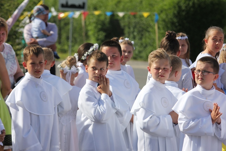 Powitanie ikony MB Częstochowskiej w Dmosinie