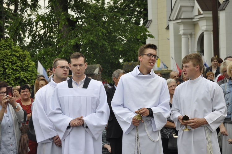 Powitanie ikony MB Częstochowskiej w Domaniewicach