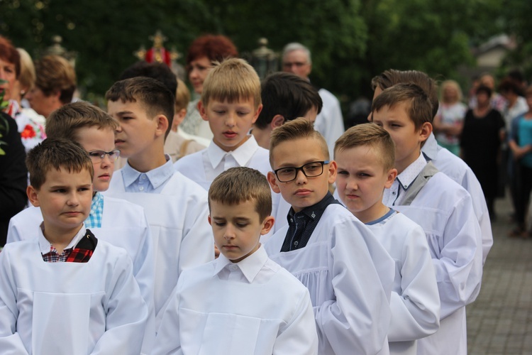 Powitanie ikony MB Częstochowskiej w Domaniewicach