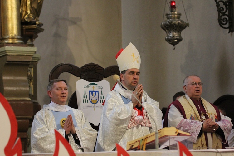 Powitanie ikony MB Częstochowskiej w Domaniewicach