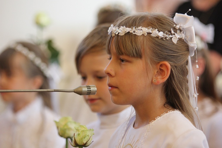 Powitanie ikony MB Częstochowskiej w Bąkowie