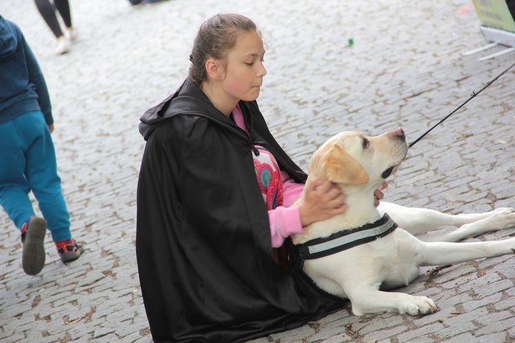 Piknik na rzecz hospicjum dla dzieci