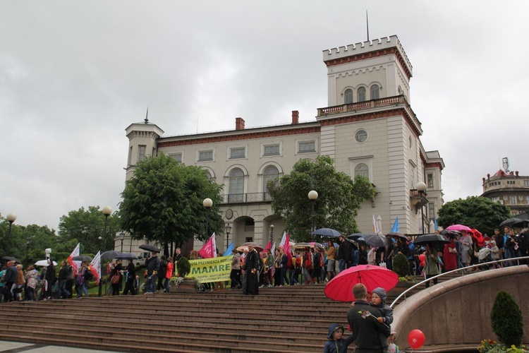 4. Marsz dla Życia i Rodziny w Bielsku-Białej - 2017