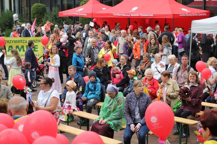 Piknik Caritas po Marszu dla Życia i Rodziny - 2017