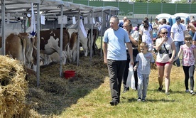 W tegorocznej edycji wystawy rolniczej zaprezentowało się ponad 400 wystawców