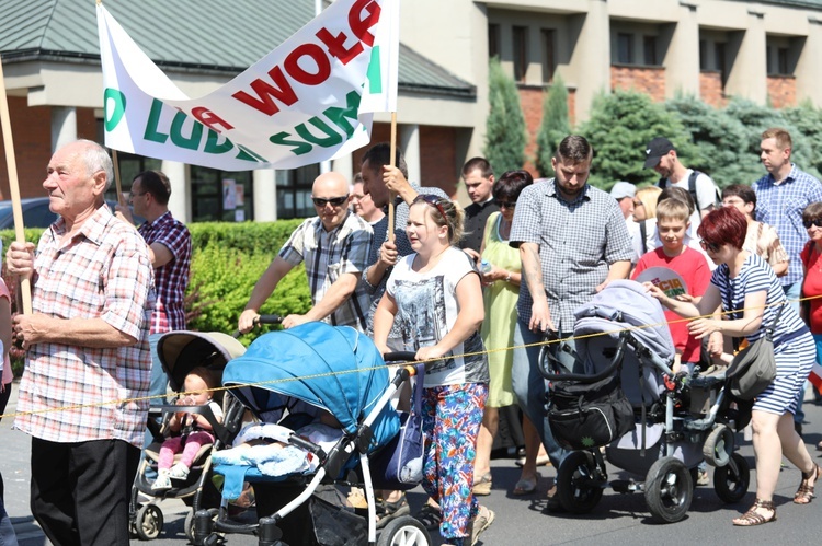 Marsz dla Życia i Rodziny w Oświęcimiu - 2017