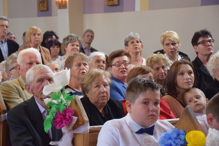 Powitanie ikony MB Częstochowskiej w Bobrownikach