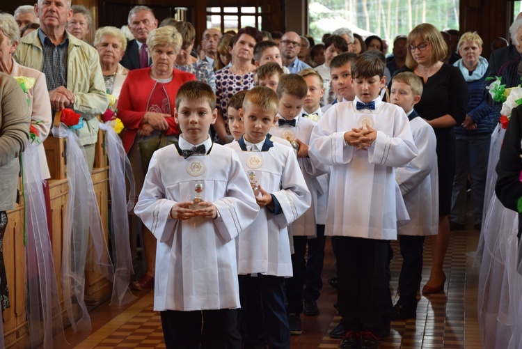 Powitanie ikony MB Częstochowskiej w Bobrownikach