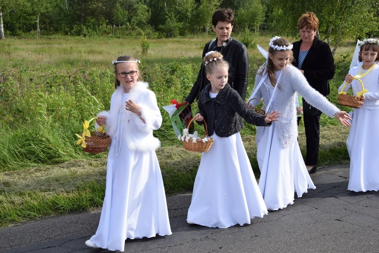 Powitanie ikony MB Częstochowskiej w Bobrownikach