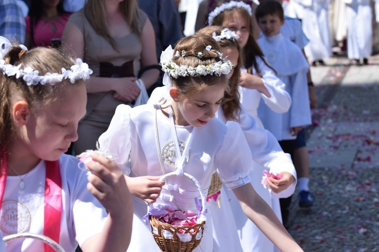 Ulicami Świdnicy z Najświętszym Sakramentem