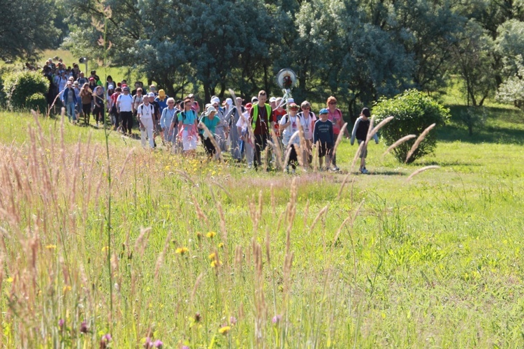 Piesza Pielgrzymka Powołaniowa do Rokitna