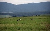 Łemkowszczyzna: Beskid Niski