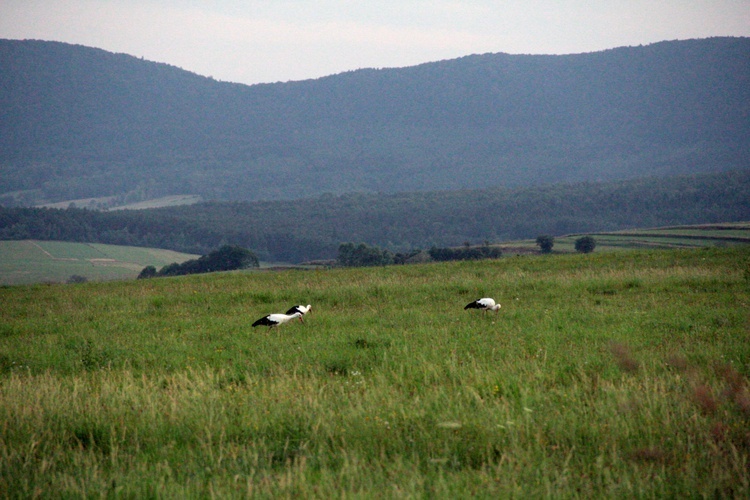 Łemkowszczyzna: Beskid Niski