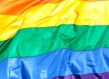 Niemiecki TK przeciwko wymuszeniu głosowania nad homo-małżeństwami