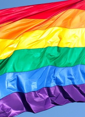 Niemiecki TK przeciwko wymuszeniu głosowania nad homo-małżeństwami