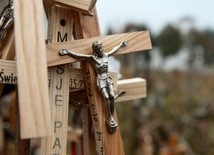 Wierność krzyżowi