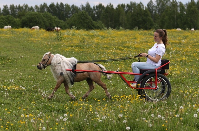 Mały, ale ho, ho!