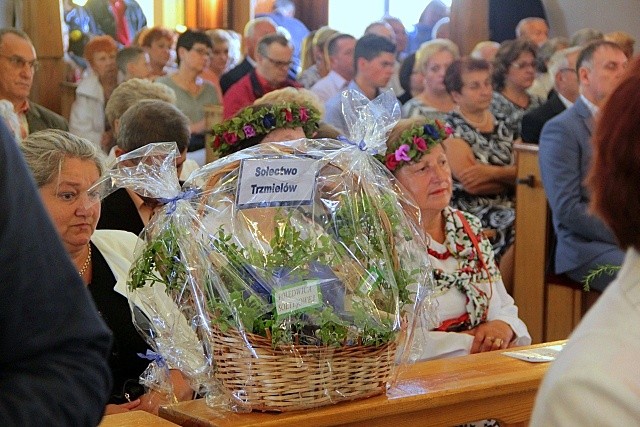 Chocianów uczcił Matkę Bożą Jagodną