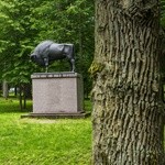 Perły z listy UNESCO. Puszcza Białowieska