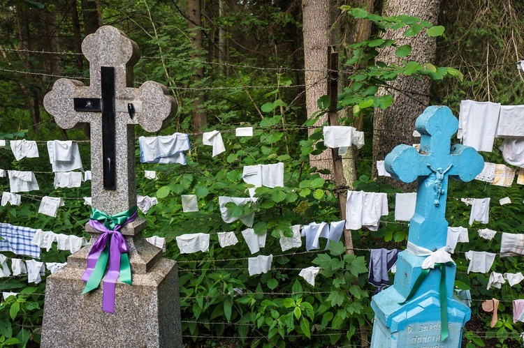 Perły z listy UNESCO. Puszcza Białowieska